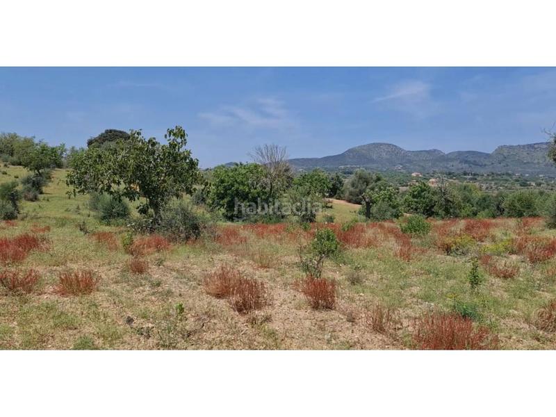 Foto 9d47e4dd-8017-426b-8542-4335fc43a7f6. Finca rústica a 5 723 a Sant Llorenç des Cardassar