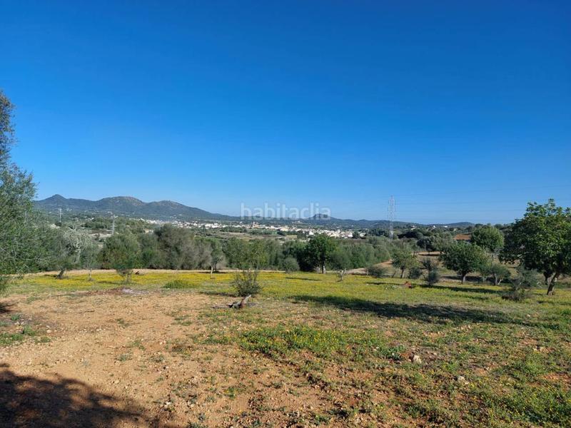 Foto b1ebdda4-b106-4422-84ba-c35f23b8d091. Finca rústica a 5 723 a Sant Llorenç des Cardassar