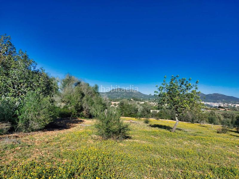 Foto ddb06af2-1b4a-4482-adea-bce603d90e8b. Finca rústica a 5 723 a Sant Llorenç des Cardassar