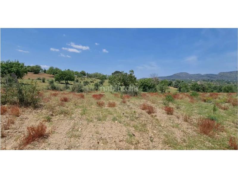 Foto df06b64d-84b3-4d83-90dd-2b5edecf479c. Finca rústica a 5 723 a Sant Llorenç des Cardassar