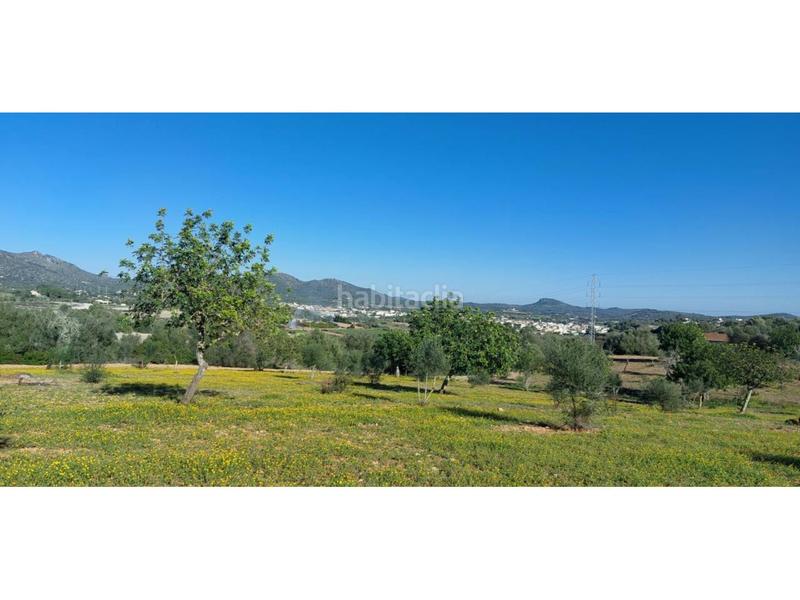 Foto e614475f-2ed7-421f-967c-7ca9ce89bd20. Finca rústica a 5 723 a Sant Llorenç des Cardassar