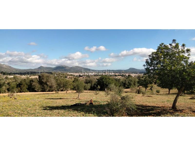 Foto ebde5b00-7a45-41ef-b2a5-f7639d045c8c. Finca rústica a 5 723 a Sant Llorenç des Cardassar