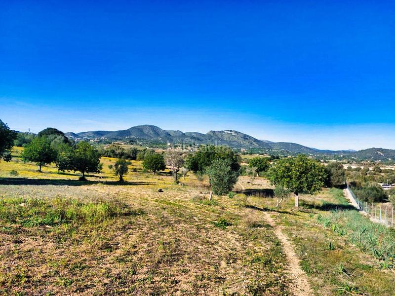 Foto efda9c3e-50da-41be-b213-e20dbcbd709b. Finca rústica a 5 723 a Sant Llorenç des Cardassar