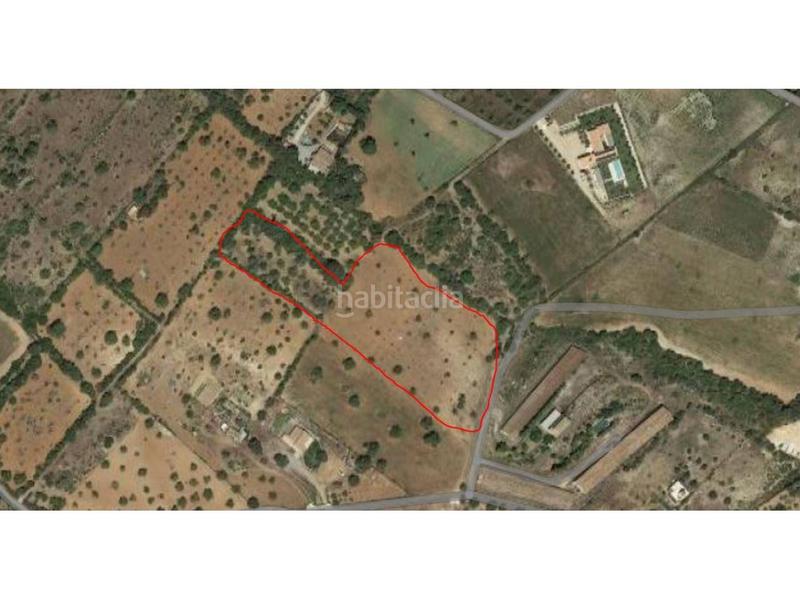 Foto fefe9d03-8b46-4453-9ad2-fbadfd5806f2. Finca rústica a 5 723 a Sant Llorenç des Cardassar