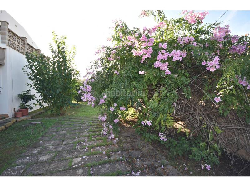 Foto 7d24ec67-4c6d-47f0-ac41-6dceff26a3be. Maison dans roses 31 dans Sant Llorenç des Cardassar