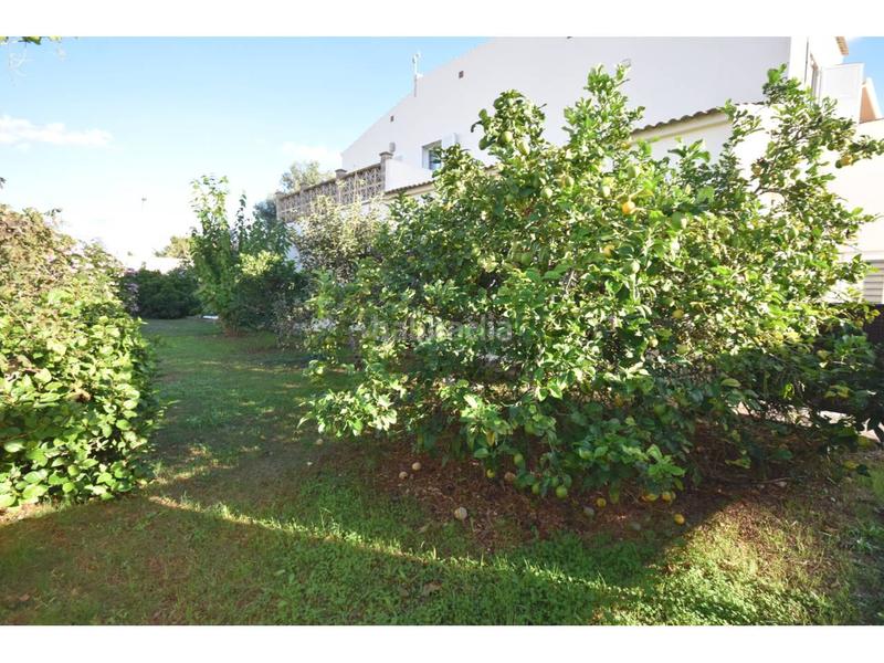 Foto be30bfe7-36cf-4909-afef-b5bdca0ac4b2. Maison dans roses 31 dans Sant Llorenç des Cardassar