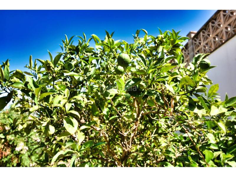 Foto f5221e75-aef1-45dc-b708-8068d1a991e9. Maison dans roses 31 dans Sant Llorenç des Cardassar