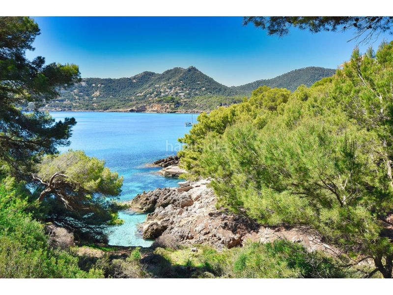 Foto 409e4806-bfca-4066-9ddc-6fbc55da815f. Pis amb calefacció aparcament piscina a Canyamel Capdepera