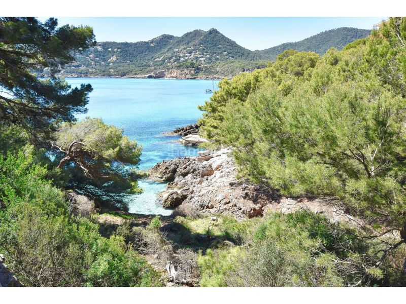 Foto 5faabafb-b036-44de-a9b9-520eadad9456. Pis amb calefacció aparcament piscina a Canyamel Capdepera