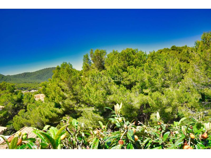 Foto 72667d4f-8f26-46dd-81f6-d661342a8d33. Pis amb calefacció aparcament piscina a Canyamel Capdepera