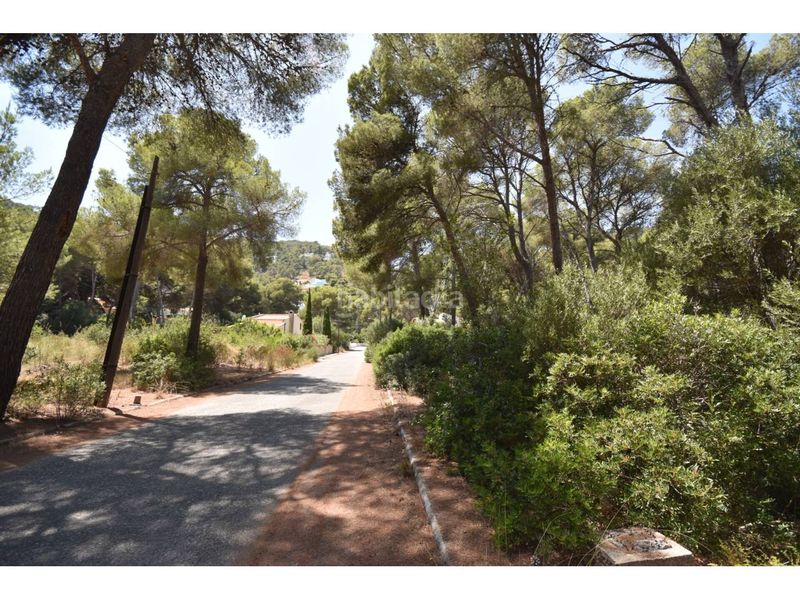 Foto 32fa898f-09c5-4706-9ca8-ff6c66f928f8. Finca rústica a via muntanya 16 a Canyamel Capdepera