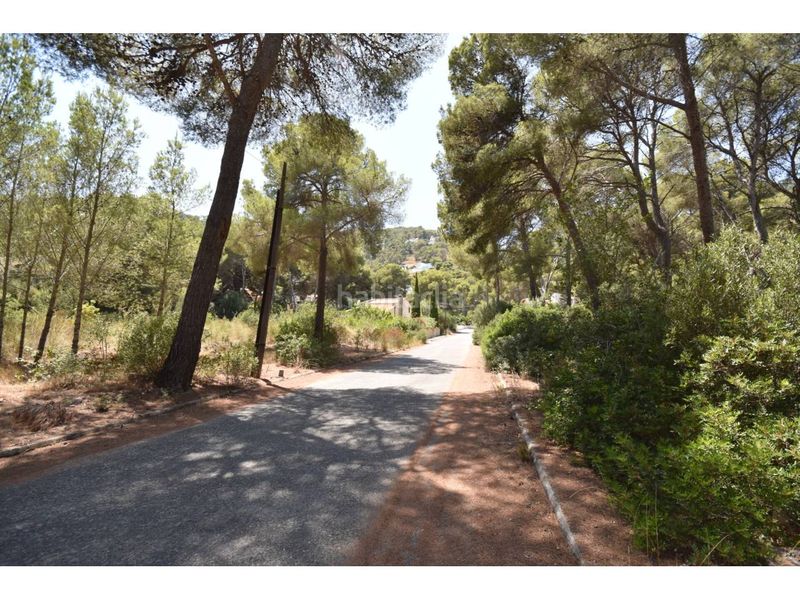 Foto 5861f03f-9939-4b89-ba5a-62daf44a8f72. Finca rústica a via muntanya 16 a Canyamel Capdepera