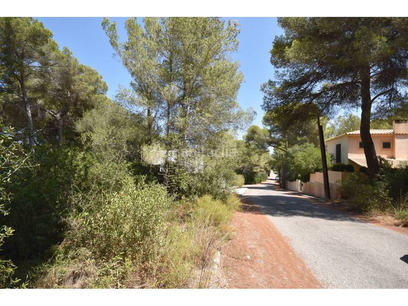 Foto caa3de28-46c9-4e25-bcc2-d0ed76270c16. Finca rústica a via muntanya 16 a Canyamel Capdepera