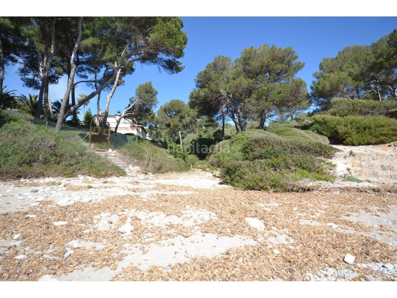 Foto ea3c313e-9c01-4356-b5ea-95b854e75810. Finca rústica a via muntanya 16 a Canyamel Capdepera