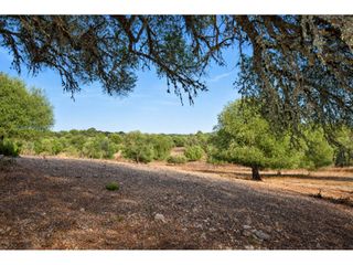 Landgut in Poligono 9 41. Finca rustica en venta en artà