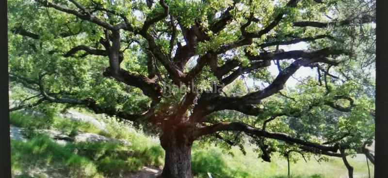 Foto e76d67e9-c1d1-4d0d-b8d7-27ce6858a4d2. Édifice dans Sant Boi de Lluçanès