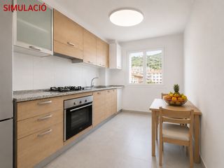 Penthouse  Del progr�s. Inversi�n con rentabilidad del 5,5 en el coraz�n de ripoll