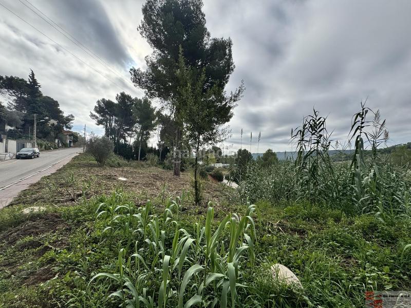 Foto c7da9430-6552-4694-a64e-eede03ef33e5. Terreny residencial a serra del cadi 21 a Piera