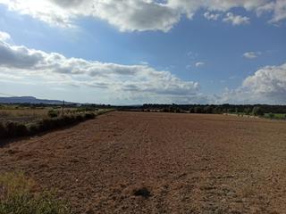 Finca rstica a 167 polgono 8 parcela 100ed07c - arque 8. Finca rstica a 3 km de porreres