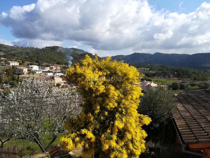 Foto b1e17600-b15f-4634-975d-a7db1f863094. House in Calvià poble Calvià