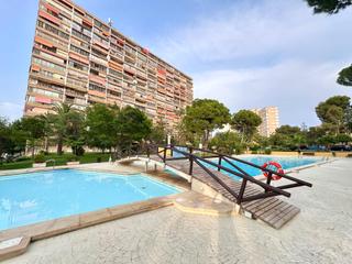 Lloguer Apartament  Calle tridente. Alquiler  desde septiembre a agosto 2026, temporal por 11 meses