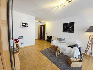 Pis  Calle pintor antonio amorós. Luz, jardines y paz tu refugio junto a la vía parque