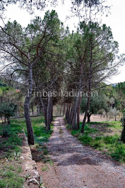 Foto d9661b07-161e-4540-aec6-008f810ce06f. Masia amb aparcament piscina a Batoi Alcoi