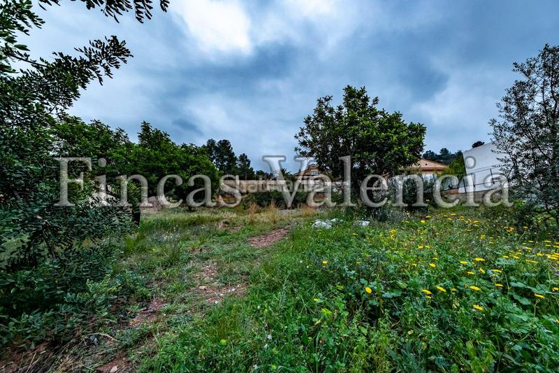 Foto 7639d64d-54d8-4638-8deb-9b923d946c7f. Terreny residencial a Torres Torres