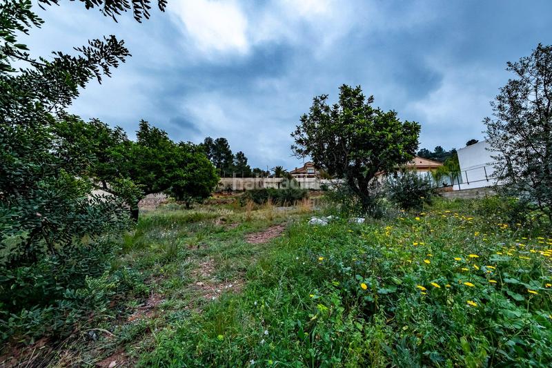 Foto b5dd107a-aedc-4ca4-9a68-8123f633202b. Terreny residencial a Torres Torres