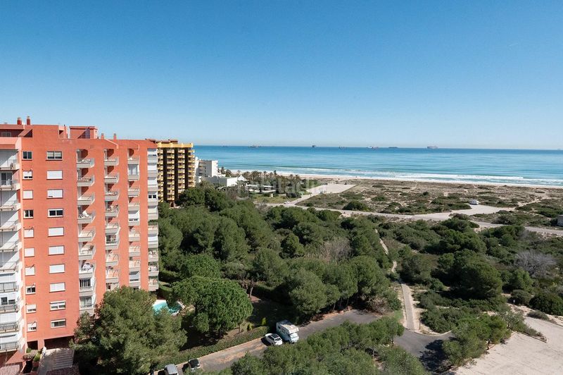 Foto d5d7fa25-f38a-442b-9049-191e702fe716. Planta baixa amb calefacció piscina a El Saler Valencia