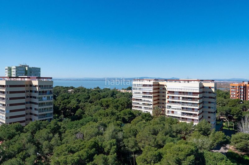 Foto daf070c5-7337-4b65-94c1-9ba69d48036e. Planta baixa amb calefacció piscina a El Saler Valencia
