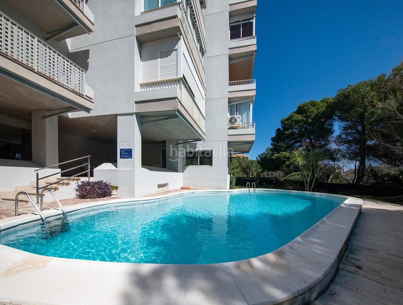 Foto e2492628-4703-4465-bc75-a9e3127b6220. Planta baixa amb calefacció piscina a El Saler Valencia