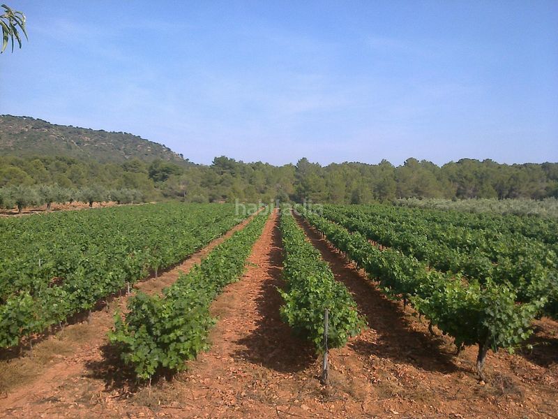 Foto 02c6462c-f52f-41ff-b6dd-3a3b823e68d1. Masia a Azuébar