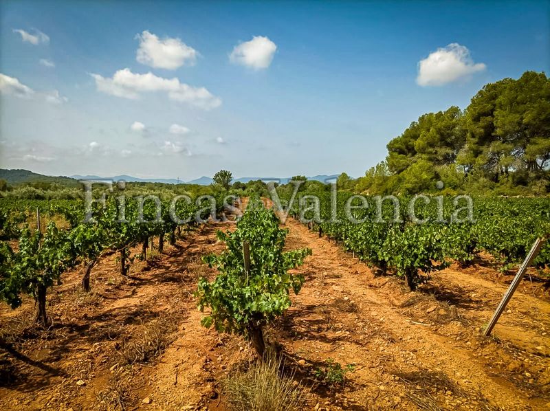 Foto 57c0f94e-705f-4035-82a8-252ddbb1865e. Masia a Azuébar