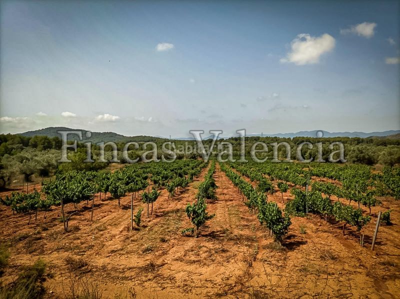 Foto a70a34a3-f0ab-4fed-8f93-71273d2604f7. Masia a Azuébar