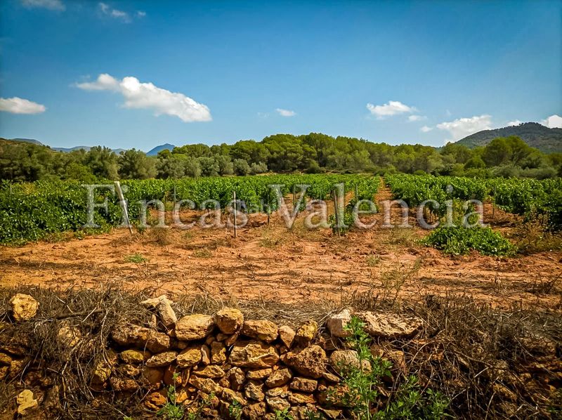 Foto be506bc3-a144-4757-b7f5-eabfd61ad9b3. Masia a Azuébar