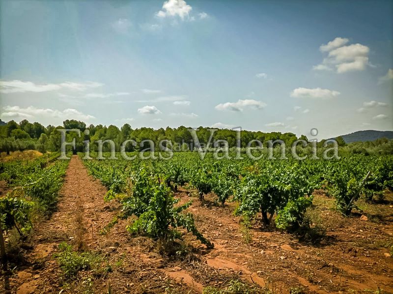 Foto ca41022d-fdb3-4315-be94-e6c65c298bd5. Masia a Azuébar