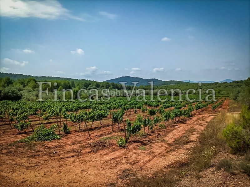 Foto ddb11629-ad39-4f64-837c-bef7b2d0166e. Masia a Azuébar