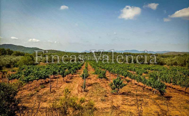 Foto fa2cdffb-fd7a-47e6-b194-c4326a4ca3a6. Masia a Azuébar
