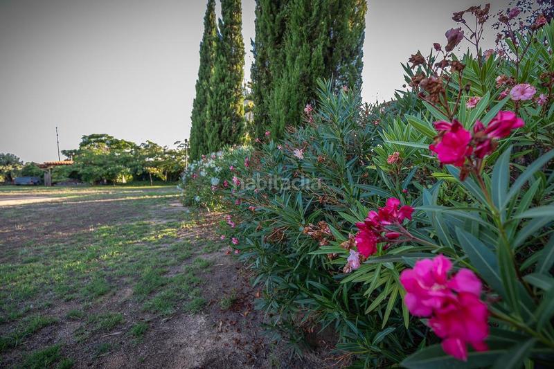 Foto d512d09b-2b7d-445c-8bab-0649275d469d. Masía vive en el campo con todas las comodidades de la ciudad en Riudoms