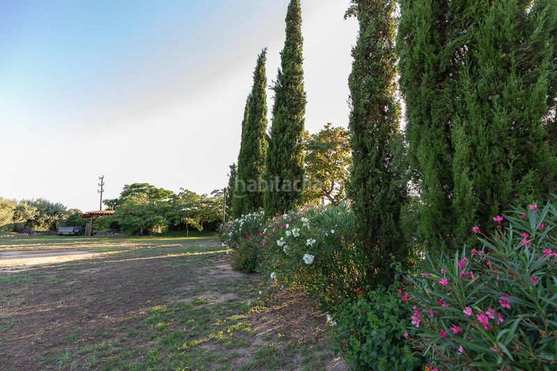 Foto f8620d8b-7e56-44e3-8244-b124ceca65ee. Masia amb calefacció a Riudoms