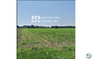 Finca rústica  El vernar de dalt. Amplio terreno agrícola en venta castello dempuries