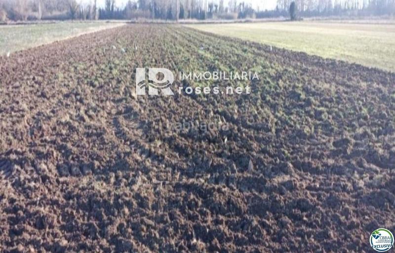 Foto c6bd5d2c-1904-410e-864d-3e7050f53a2c. Rural plot in Puigmal - Mas Nou Empuriabrava