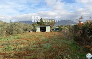 Rural plot  Torre del viento. Terreno agrícola destinado a olivar y a huerto, de 8.606 m2.