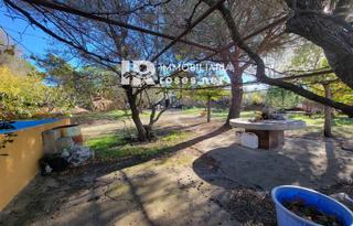 Rural plot  Les torres. Terrenos rústicos con olivar y autonomía energética