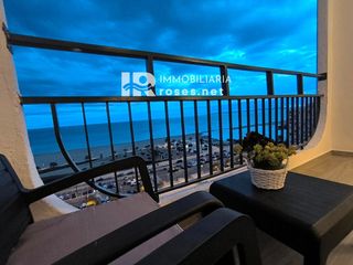 Pis  Delta muga. Apartamento en primera línea de mar, reformado, con terraza y vi