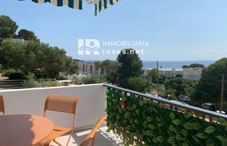 Pis a Jose Diaz Pacheco