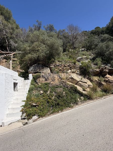 Foto 0fe32029-5f45-4e30-bdc6-51e3cc7fdee7. Parking coche lote de 3 garajes y gran parcela en parque natural en Roses