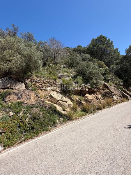 Foto 2d42a19d-8e86-4ef7-abad-8cc491e010d9. Parking coche lote de 3 garajes y gran parcela en parque natural en Roses