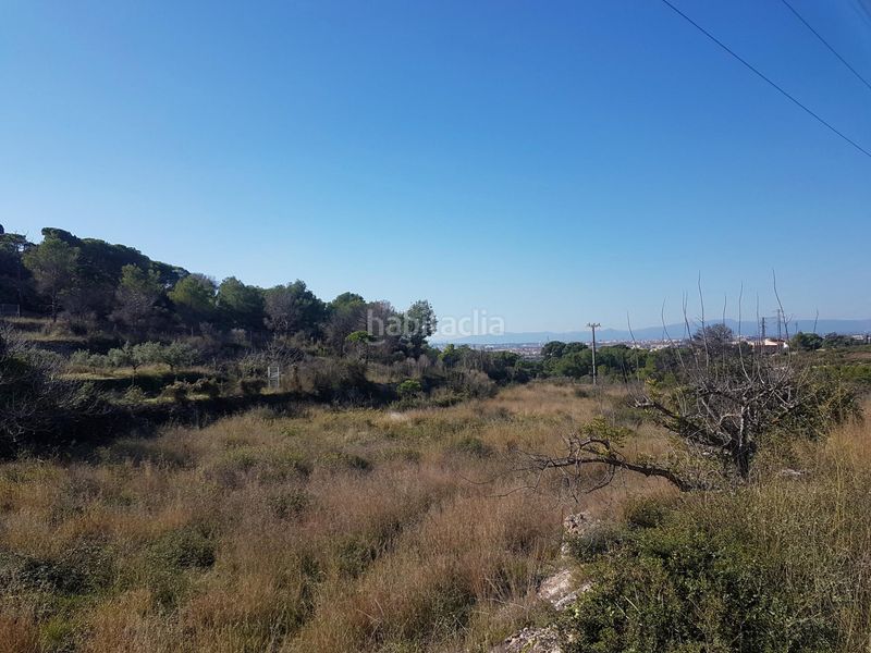 Foto acfad234-82f2-4ef9-910d-33e4906b15aa. Finca rústica inversión en Sant Pere i Sant Pau Tarragona